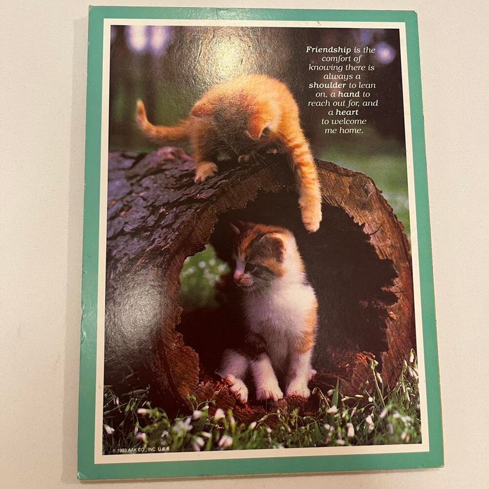 Vintage 1993 Friendship Cat Wall Decor In like new condition